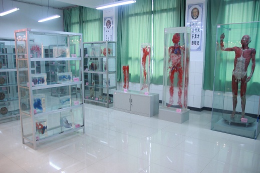 重庆卫校排名、护理学校排名汇总-公立卫校哪家好