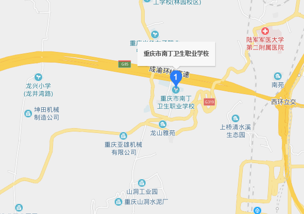 重庆南丁卫校地址