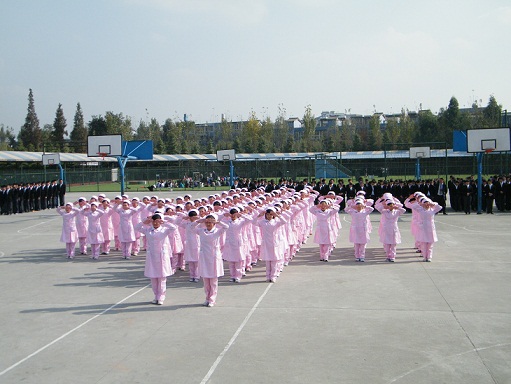 201317113423.jpg