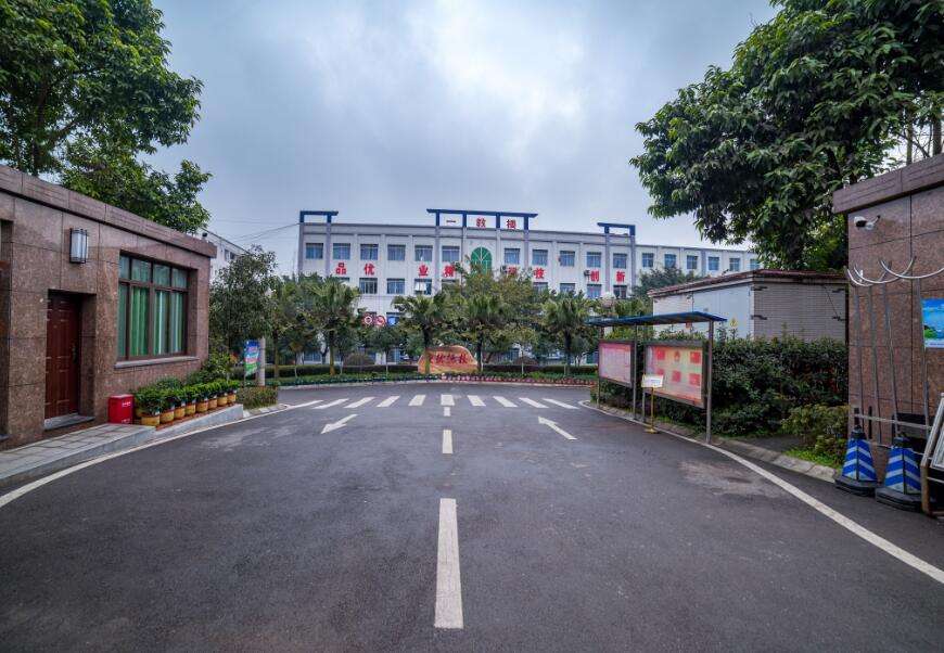 重庆沙坪坝区铁路学校哪家最好?